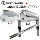 MB24/CB24 #6~PW 5本組スチールファイバー i シリーズ トゥルーテンパー社製BETTINARDI日本仕様正規品特注カスタムベティナルディ