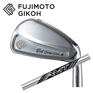 樂天商城 - 藤本技工(超軽量ヘッドモデル)Break Common Sense(5本セット) #6～PW NEW AMT BLACKトゥルーテンパー社製FUJIMOTO GIKOH ブレイクコモンセンス日本仕様正規品特注カスタム