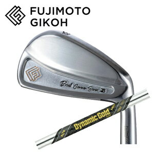 樂天商城 - 藤本技工(超軽量ヘッドモデル)Break Common Sense 単品アイアン #4,#5ダイナミックゴールドMID TOUR ISSUE(ミッドツアーイシュー) トゥルーテンパー社製FUJIMOTO GIKOH ブレイクコモンセンス日本仕様正規品特注カスタム