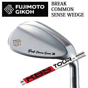 BREAK COMMON SENSE WEDGE 【常識を疑う】、それがコンセプトとして始まった"Break Common Sense"。 通常より20g軽いヘッドがもたらす新感覚のモデルが誕生しました。 これこそ、"新常識"。 ”常識をうたがえ。。。” "軽い、それがいい。。。" 自社独自の中空構造と、長年にわたる研磨技術が可能にしたFUJIMOTOGIKOHだからこそできる新感覚の軟鉄鍛造アイアンを作り出すことに成功しました。 軽いからこそ可能なスイングスピードとコントロール性能。 いつまでも打ち続けることができ、練習がきっと楽しくなる。 ヘッドにも重量を選択できる時代へ。 ヘッドは軽くていい。。。 そんな"Break Common Sense"シリーズを是非、ご体感ください。 ☆注意事項 ●メッキ製品ではありますが、お取り扱いにより錆等が発生することがございます。 ●ご使用後はお手入れをして頂き、多湿の場所を避けるなど、保管方法にはご注意願います。