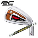 ロイヤルコレクションAM-X アイアン #5〜PW 6本組ダイナミックゴールドMID 115(ミッド115) トゥルーテンパー社製ROYAL COLLECTIO...