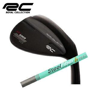 ロイヤルコレクションBB WEDGE ブラックIP仕上げスチールファイバー h-PLUS シリーズ トゥルーテンパー社製ROYAL COLLECTION日本仕様正規品2023年11月発売予定特注カスタム