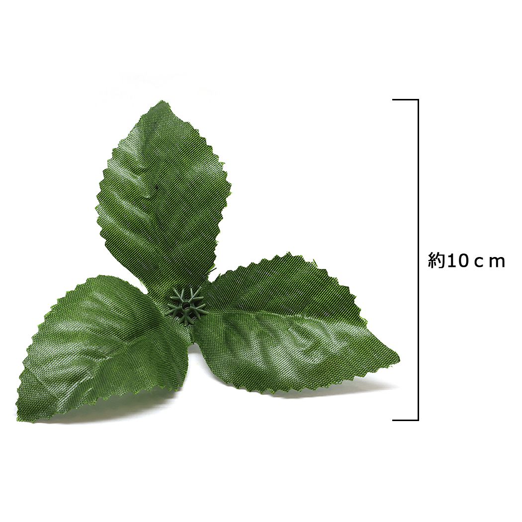 3����� �ֺ॰�꡼�� �դä� 663