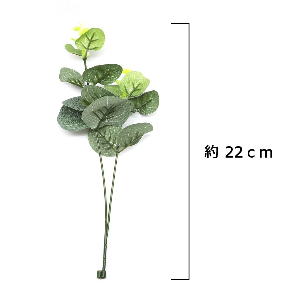 �դä� ���꡼�� �ϥ�ɥᥤ�� 665