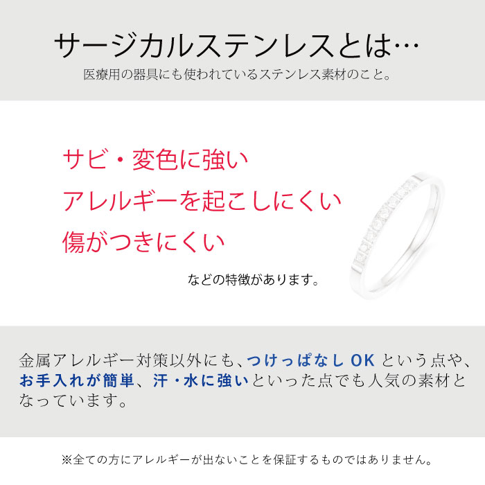 ���������륹�ƥ�쥹316L ����ɥѡ��� �ʱ� ����ǥ� ���ڡ������ӡ��� 844