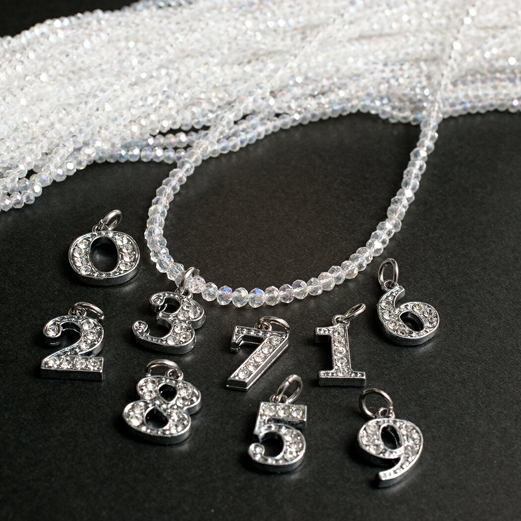 �ʥ�С��ͥå��쥹��507