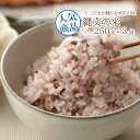 ハウス食品 業務用十五穀米 500g×10個入×(2ケース)｜ 送料無料 業務用 十五穀米 食品 穀物