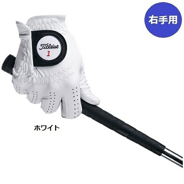 タイトリスト ゴルフ グローブ プロフェッショナル グローブ 右手用 左利き用 メン...