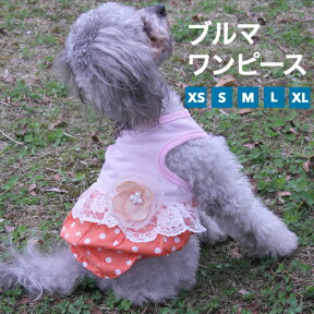 犬 服 ワンピース 【ブルマワンピース】 犬の服 いぬ 【春夏犬服】 （ドッグウェア） 小型犬 中型犬 春 夏 春服 夏用 夏服 秋 冬 秋服 冬用 冬服 おしゃれ おもしろ かわいい 可愛い 着せやすい セール ブランド 女の子 メス レース