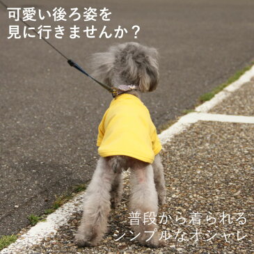 犬 服 tシャツ 犬の服 Tシャツ 無地 国産 (あす楽) 小型犬 中型犬 春 春服 夏 夏用 夏服 春夏秋 秋服 冬 冬用 冬服 秋冬 おしゃれ おもしろ かわいい 可愛い 着せやすい セール ブランド 女の子 男の子 オス メス tシャツ 長袖 日本製 犬の服
