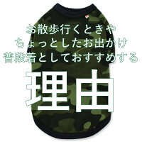 国産迷彩Tシャツ