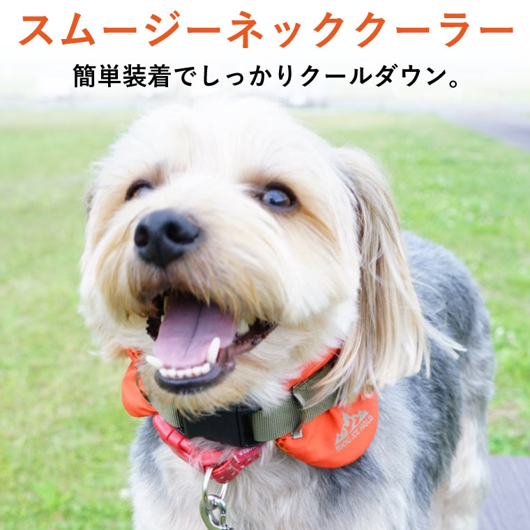 【おまとめ割5%OFF】犬 クールネック クールバンダナ ICE HOLD スムージー ネッククーラー 保冷剤付 撥水 小型犬 中型犬 春 夏 夏服 夏用 クール 首輪 男の子 女の子 オス メス おしゃれ おもしろ オシャレ セール ブランド かわいい 可愛い クールバンド