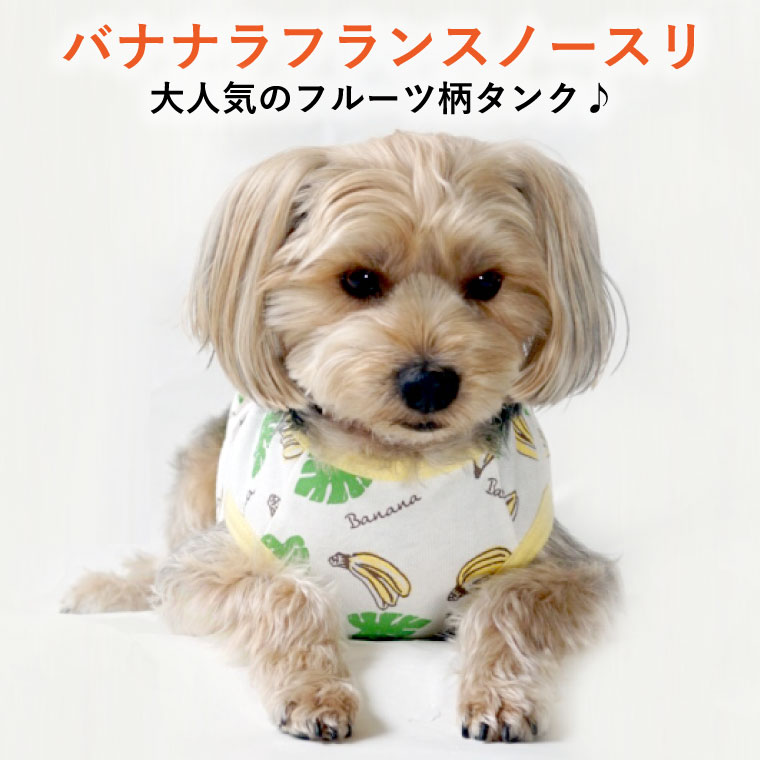 犬 服 タンクトップ 犬の服 バナナラフランスノースリ クール 加工 防蚊 加工 小型犬 中型犬 春 春服 夏 夏用 夏服 春夏 おしゃれ おもしろ かわいい 可愛い 着せやすい セール ブランド 女の子 男の子 オス メス タンク クールウェア 袖なし