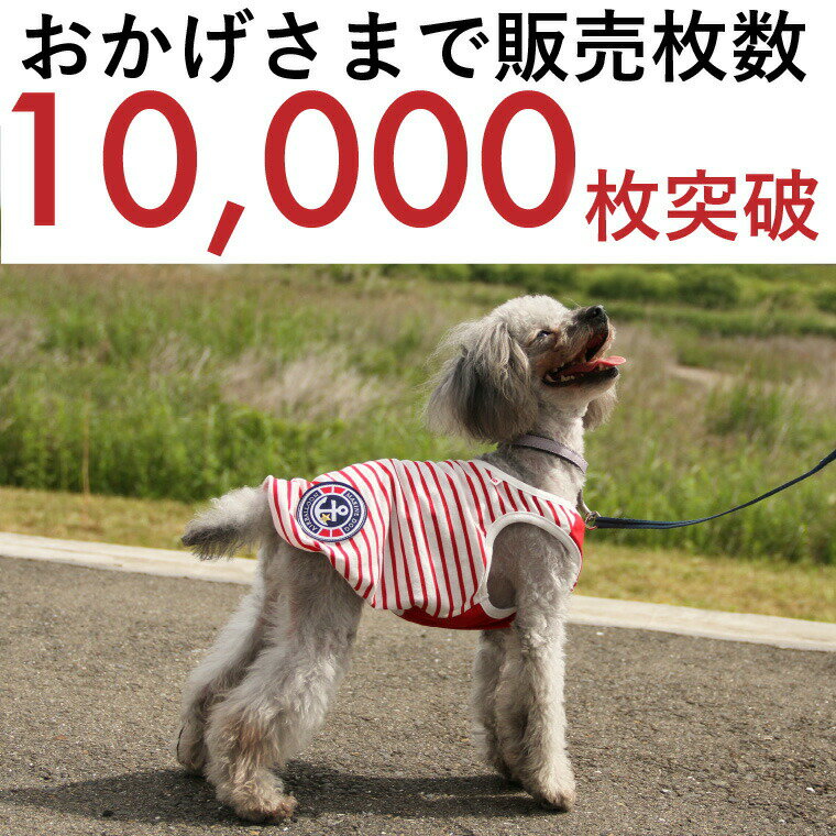 犬 服 夏服 タンクトップ 犬の服 犬服 いぬ 国産 クール サマー タンク ボーダー 無地 （あす楽） 小型犬 中型犬 春 春服 夏 夏用 春夏 おしゃれ おもしろ かわいい 可愛い 涼しい uvカット セール ブランド 女の子 男の子 オス メス 日本製 冷感 袖なし ドッグウェア 柴犬