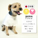 犬 服 犬服 犬の服 いぬ ふく いぬの服 男の子 国産 無地 Tシャツ 小型犬 中型犬【春夏 春 夏 春用 夏用 春物 夏物】日本製【おしゃれ 可愛い かわいい シンプル 着せやすい お揃い ペアルック 散歩 おもしろ ブランド セール】 袖あり 【女の子 オス メス】 3