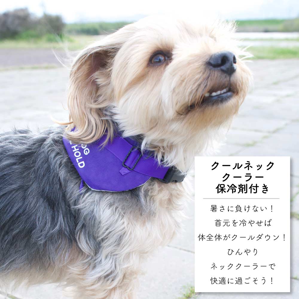 犬 クール ひんやり グッズ 【クールネック クーラー 保冷剤 付 撥水】 いぬ 【春夏用】 (クーリング) 小型犬 中型犬 春 夏 夏用 男の子 女の子 オス メス 熱中症 暑さ対策 お揃い おしゃれ おもしろ オシャレ セール ブランド かわいい 可愛い 首輪 2