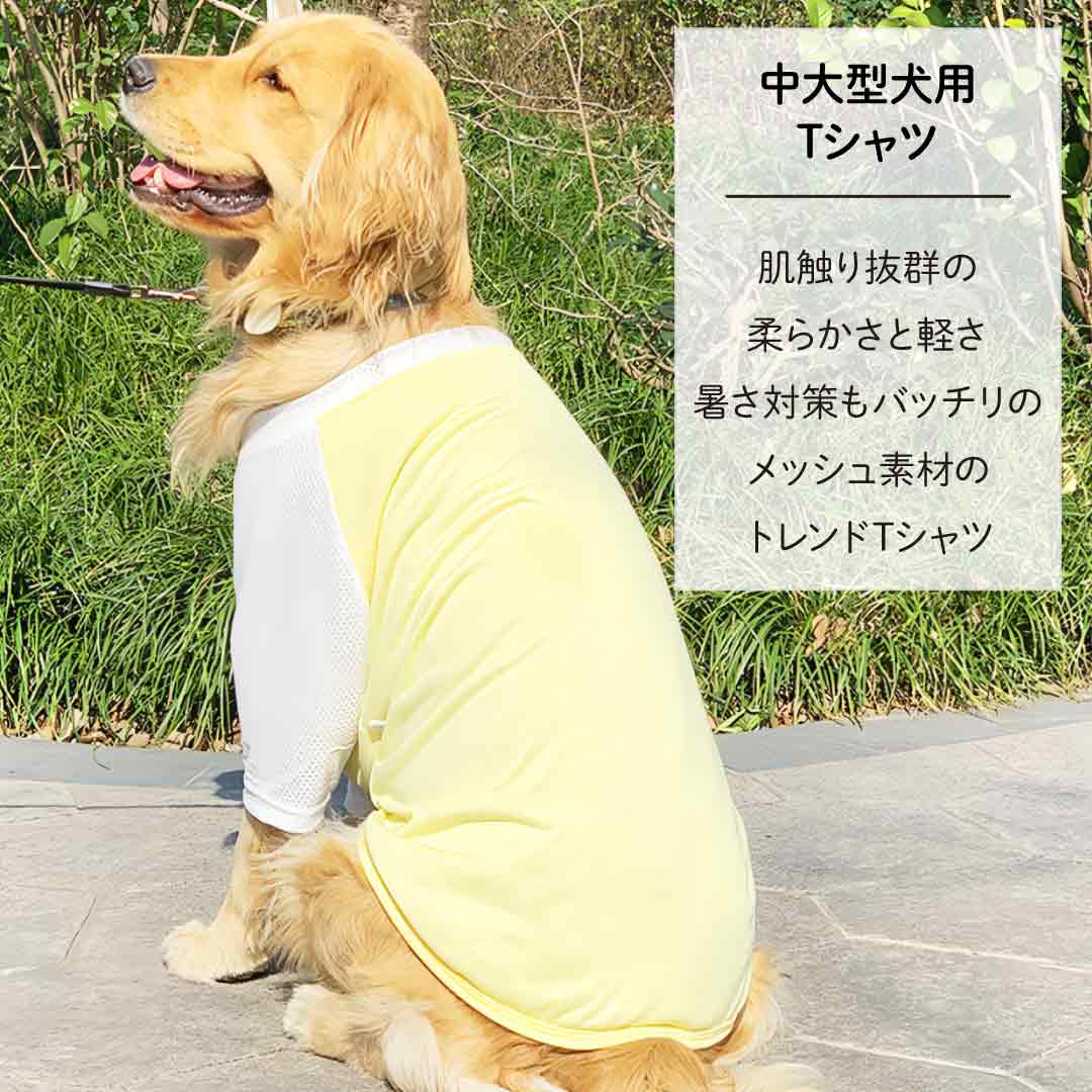 【5％OFFクーポンあり】犬 夏服 服 涼しい クール 大型犬 【中大型犬用 tシャツ】 犬の服 【春夏犬服】 (あす楽) 中型犬 春 夏 夏用 熱中症対策 暑さ対策 生地 お揃い ペア ペット おしゃれ おもしろ かわいい 可愛い セール ブランド 女の子 男の子 オス メス メッシュ