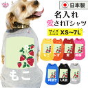 犬 服 オーダーメイド 犬の服 名前入り 名入れ国産Tシャツ グリーンいちご フルーツ 男の子 女の子 秋冬 小型犬 春夏 中型犬 いぬ 用 大型犬 可愛い セ...