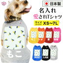 犬 服 オーダーメイド 犬の服 名前入り 名入れ国産Tシャツ トライアングルブルー 幾何学 春夏 女の子 中型犬 小型犬 秋冬 いぬ 男の子 おしゃれ かわいい...