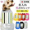 犬 服 オーダーメイド 犬の服 名前入り 名入れ国産Tシャツ ストライプホワイトグリーン パターン いぬ 男の子 女の子 春夏 中型犬 小型犬 秋冬 ペアルック...