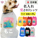 犬 服 オーダーメイド 犬の服 名前入り 名入れ国産Tシャツ 絵画1ピンク ユニーク いぬ 秋冬 中型犬 女の子 男の子 春夏 小型犬 お揃い サイズ 可愛い ...
