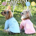 犬 服 犬の服 AVIREX バーシティロゴT 虫よけ クール 小型犬 中型犬 春夏 春 夏 夏用 春用 熱中症 暑さ対策 お揃い ペアルック おしゃれ おもし...