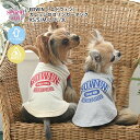 犬 服 犬の服 いぬ EDWIN カレッジロゴリンガー タンク 小型犬 中型犬 春夏 春 夏 夏用 春用 熱中症 暑さ対策 お揃い ペアルック おしゃれ おもし...