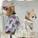 犬 服 犬の服 いぬ フク LAURA ASHLEY コットンレース襟ワンピース イヌ 小型犬 中型犬 春夏 春 夏 夏用 春用 春物 夏物 お揃い ペアルック...