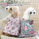犬 服 犬の服 いぬ フク LAURA ASHLEY ショルダーフリルAラインワンピース イヌ 小型犬 中型犬 春夏 春 夏 夏用 春用 お揃い ペアルック お...