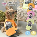 犬 服 犬の服 いぬ XLARGE キースネオン Tシャツ 小型犬 中型犬 春夏 春 夏 夏用 春用 熱中症 暑さ対策 お揃い ペアルック おしゃれ おもしろ ...