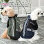 犬 服 背中開き AVIREX アヴィレックス トラックJKTクロスオーバー 秋冬に映えるおもしろいデザイン 男..