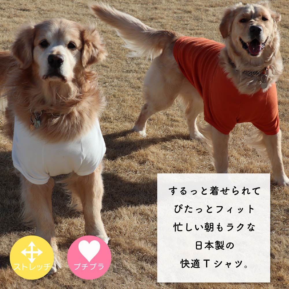 犬 服 Tシャツ 国産無地Tシャツ 中型犬や大型犬に合わせたサイズのペット服 男の子や女の子が楽しめる犬の服 春夏に映えるおもしろいデザイン おしゃれさとかわいい雰囲気が着せやすい服 セールの注目服 ハンドメイドでオリジナル服を作ろう spiralstyle-10000866 犬服 SPIRAL-style 楽天市場店 サンプル画像2