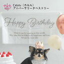 犬 服 Calulu カルル アニバーサリータペストリー 小型犬 大型犬 春夏 秋冬 女の子 中型犬 男の子 セール お揃い かわいい ペット おもしろ おしゃ...