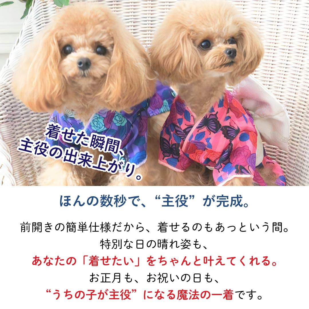 �� �� ���� ANNA SUI ���� ���� �Х��ե饤����µ �ˤλҤ���λҤ˻��礦������ ���������淿�����Ȥ��䤹���������Υڥå��� �������˸����Ƥ��襤���夻�䤹���ǥ����� �ղƤ˱Ǥ��뤪�⤷�����ǥ����� �������������