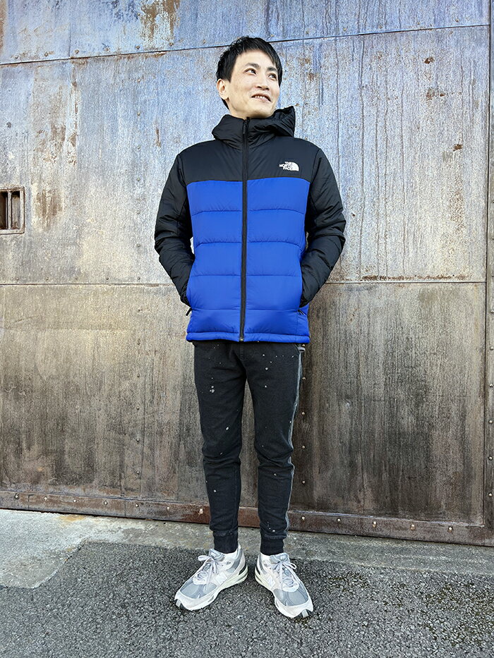 THE NORTH FACE(ザノースフェイス)ダウン Reversible Anytime Insulated Hoodie (NY82180) リバーシブルエニータイムインサレーテッドフーディ メンズ アウター アウトドア カジュアル ストリート スポーツ ジップアップ フード付き 冬