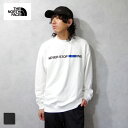 THE NORTH FACE(ザ・ノース・フェイス) ネバーストップアイエヌジー クルー (NT12444) メンズ レディース ユニセックス ロゴ 刺繍 シン...