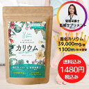 カリウム サプリメント 塩化カリウム 業界高水準 1300mg 栄養機能食品 (ビタミンB1B2B6) 国内製造 270粒 30日分 Nature Balance ブラジル酵素 ウーロン茶エキス末 その1