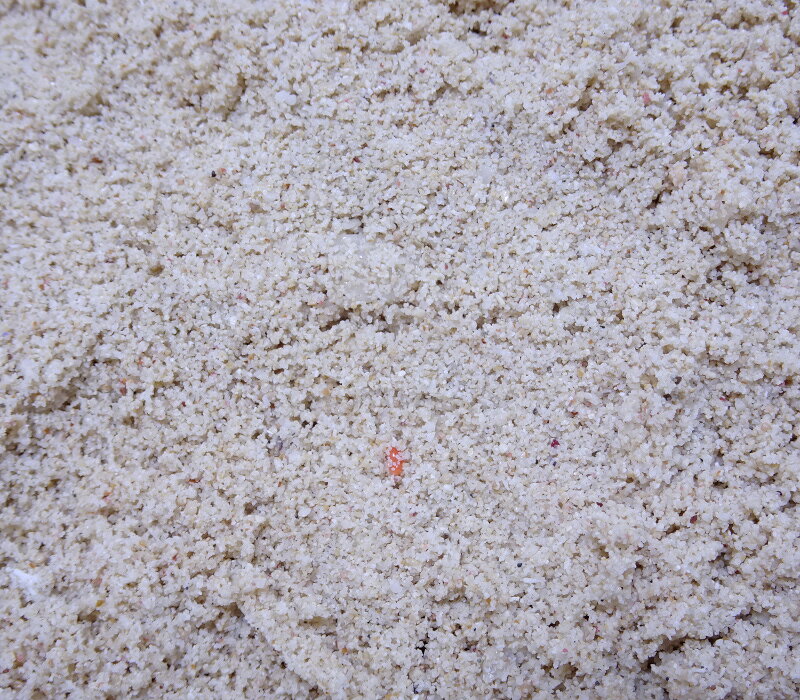 【人気商品】 【在庫限定】 ナチュラルリーフサンド （極上サンゴ砂）5kgセット （サンゴ）（天然物） （海水魚） (商品画像はサンプルとなります)