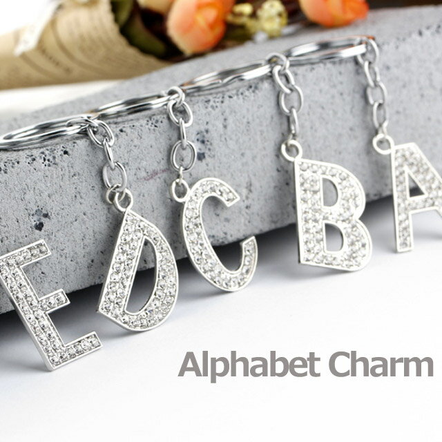 アルファベット チャーム シルバー キーホルダー イニシャルパーツ ファスナー パーツ キーホルダー 3cm(S～Z)