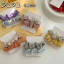 シュシュ 2個セット スリムシュシュ しゅしゅ ヘアアクセ レディース 女性