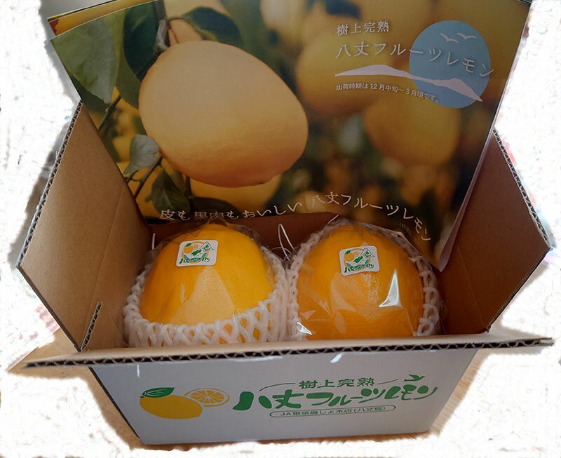 八丈フルーツレモン　2個入り（ギフト箱入り）【ギフト好適品】