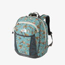 THE NORTH FACE(ザ・ノース・フェイス) NMJ72351 トスボックス キッズ 子供用 バックパック リュック 22L アウトドア 旅行 登山