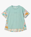 【メール便OK】Columbia(コロンビア) PL1346 ウィメンズトゥリースワローショートスリーブTシャツ レディース 半袖 Tシャツ アウトドア