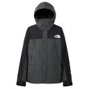 THE NORTH FACE(ザ・ノース・フェイス) NP62450 マウンテンライトジャケット メンズ GORE-TEX アウトドア カジュアル キャンプ(4)