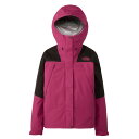 THE NORTH FACE(ザ・ノース・フェイス) NPW12503 レディース マウンテンラウンダージャケット GORETEX 防水 アウトドア トレッキン...