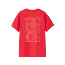 【メール便OK】THE NORTH FACE(ザ・ノース・フェイス) NTW32538 ショートスリーブモンキーマジックティー レディース アウトドア スポーツ 半袖