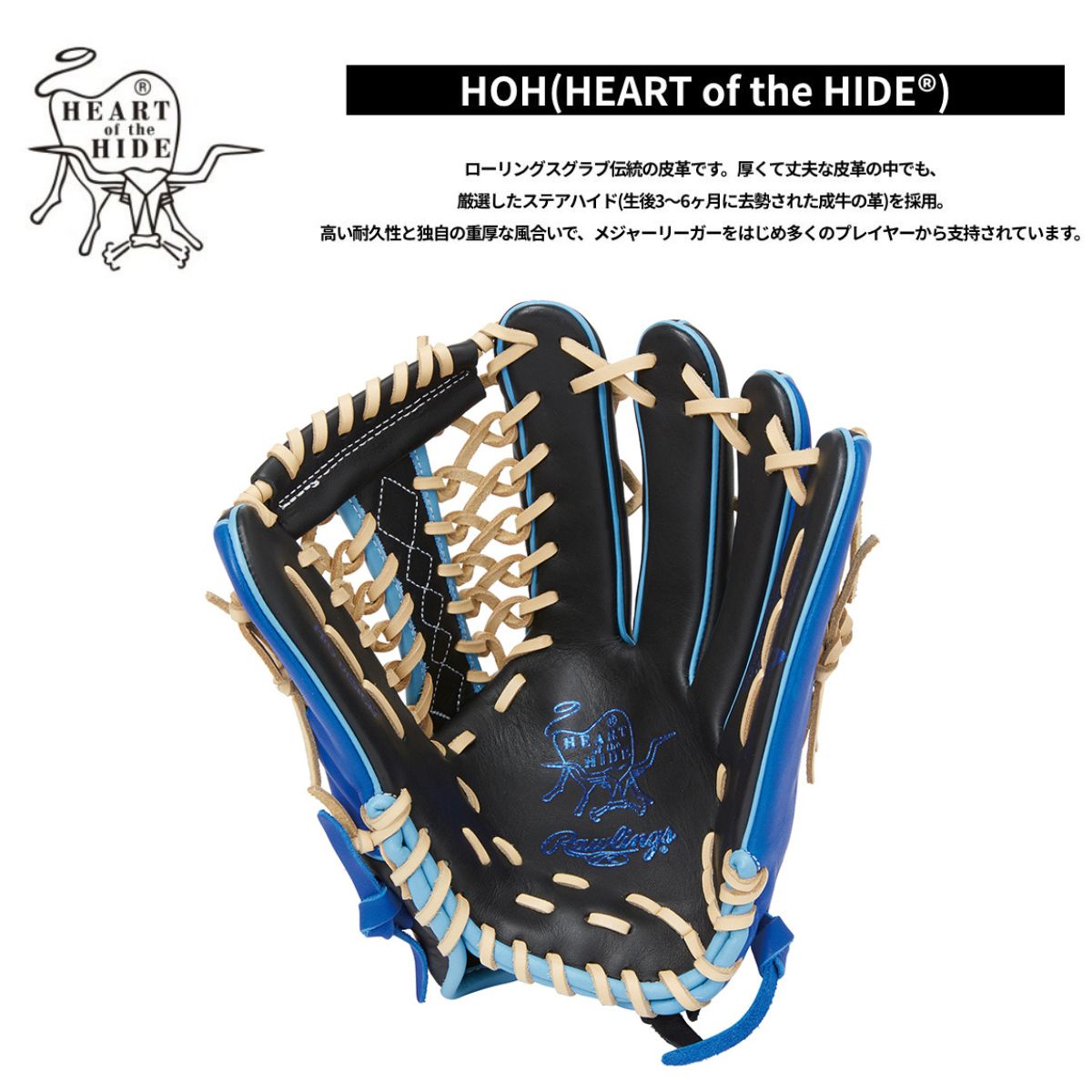 スポーツマートのローリングス Rawlings Bグレード B品 ソフトボール グラブ 女子 オールラウンド用 HOH DP COLORS B-GS4HDB87GF-B-RY｜アングル2