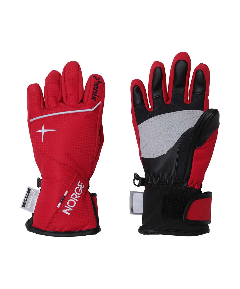 PHENIX(フェニックス) PS8G8GL81 Norway Alpine Team Boys Gloves ジュニア スノーグローブ