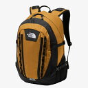 THE NORTH FACE(ザ・ノース・フェイス) NM72301 BIGSHOT ビッグショット バックパック デイパック 通勤 通学