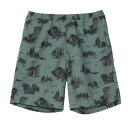 【メール便OK】THE NORTH FACE(ザ・ノース・フェイス) NB42532 メンズ アロハベントショーツ ショートパンツ ボトムス